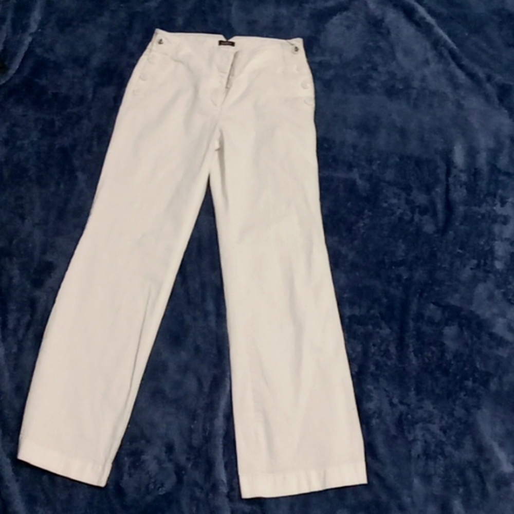 ANN TAYLOR  Loft ladies business pants